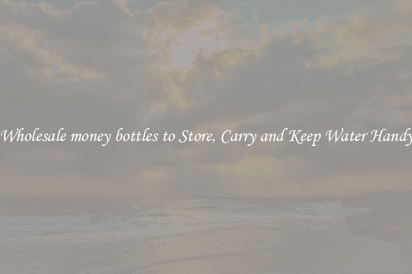 Wholesale money bottles to Store, Carry and Keep Water Handy