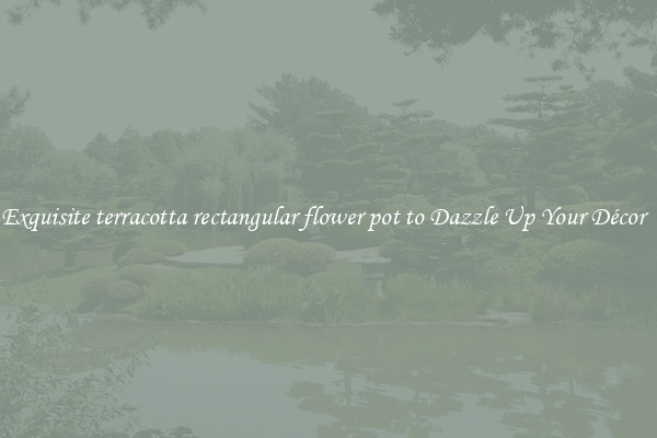 Exquisite terracotta rectangular flower pot to Dazzle Up Your Décor  