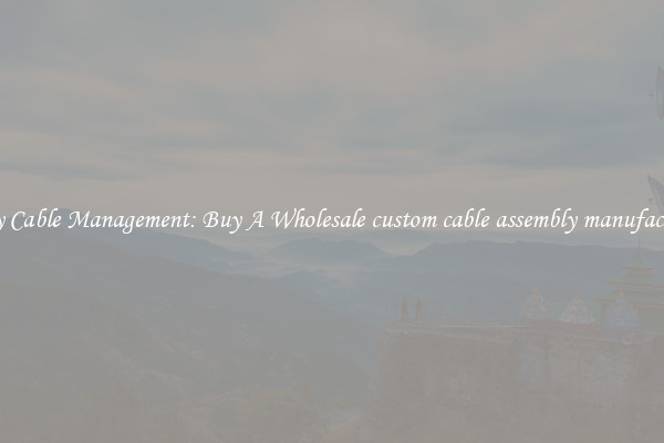 Easy Cable Management: Buy A Wholesale custom cable assembly manufacturer