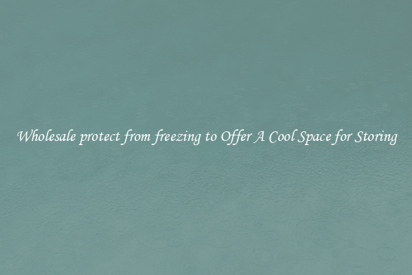 Wholesale protect from freezing to Offer A Cool Space for Storing