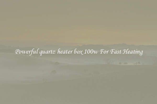 Powerful quartz heater box 100w For Fast Heating