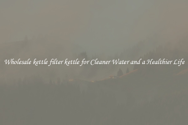 Wholesale kettle filter kettle for Cleaner Water and a Healthier Life