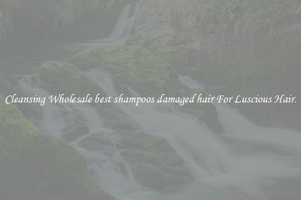 Cleansing Wholesale best shampoos damaged hair For Luscious Hair.