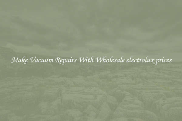 Make Vacuum Repairs With Wholesale electrolux prices