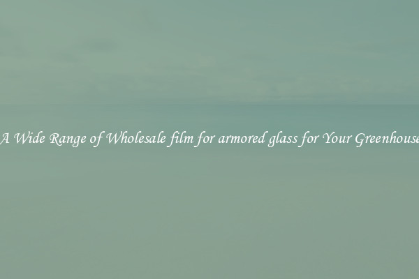 A Wide Range of Wholesale film for armored glass for Your Greenhouse