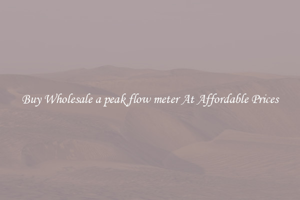 Buy Wholesale a peak flow meter At Affordable Prices