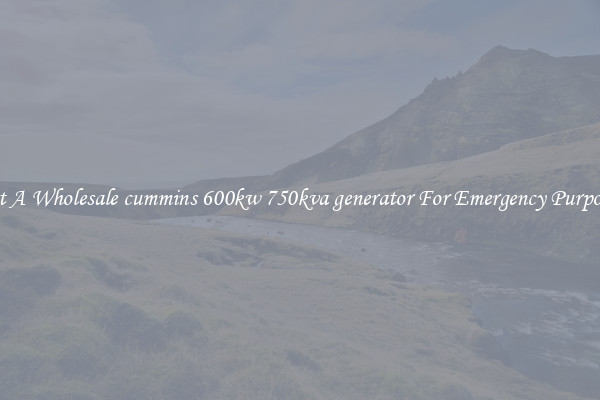 Get A Wholesale cummins 600kw 750kva generator For Emergency Purposes