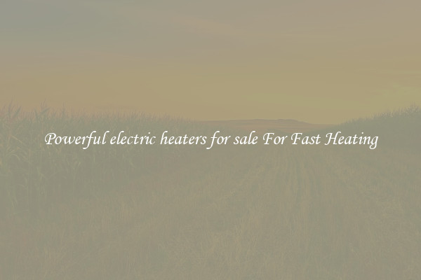 Powerful electric heaters for sale For Fast Heating