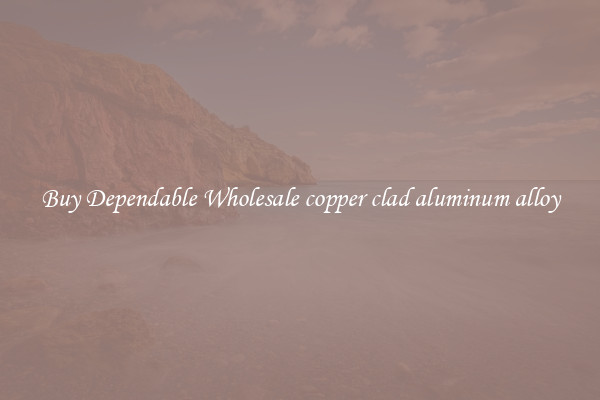 Buy Dependable Wholesale copper clad aluminum alloy
