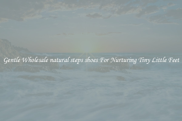 Gentle Wholesale natural steps shoes For Nurturing Tiny Little Feet