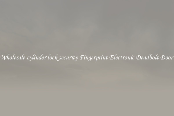 Wholesale cylinder lock security Fingerprint Electronic Deadbolt Door 