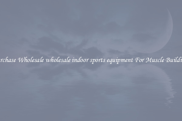 Purchase Wholesale wholesale indoor sports equipment For Muscle Building.