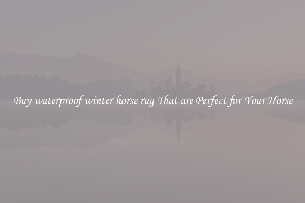 Buy waterproof winter horse rug That are Perfect for Your Horse