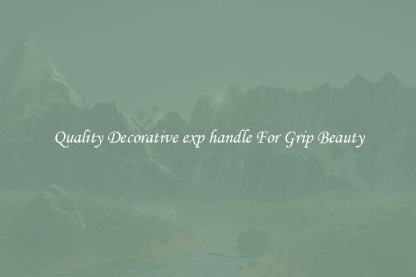 Quality Decorative exp handle For Grip Beauty