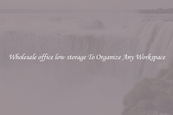 Wholesale office low storage To Organize Any Workspace