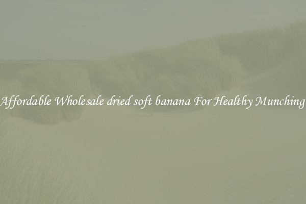 Affordable Wholesale dried soft banana For Healthy Munching 