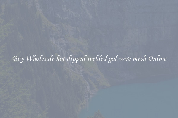 Buy Wholesale hot dipped welded gal wire mesh Online